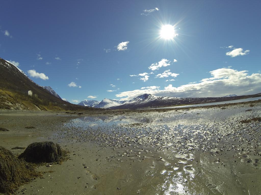 Villa Lyngen Fjordcamp Nord-Lenangen Exterior foto